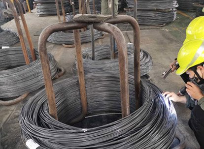 Pemeriksaan penampilan-laman web